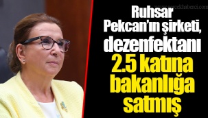 Ruhsar Pekcan’ın şirketi, dezenfektanı 2.5 katına bakanlığa satmış