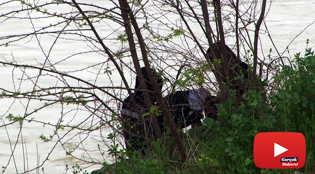 Sakarya Köprüsü altında yürek sızlatan görüntüler