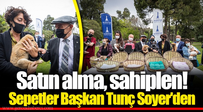 Satın alma, sahiplen!