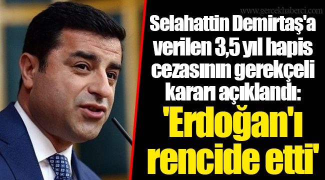 Selahattin Demirtaş'a verilen 3,5 yıl hapis cezasının gerekçeli kararı açıklandı: 'Erdoğan'ı rencide etti'