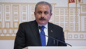 Şentop'tan Anayasa mesajı: Adı konmamış bir tartışma yaşıyoruz