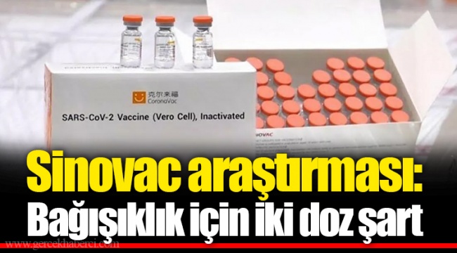Sinovac araştırması: Bağışıklık için iki doz şart