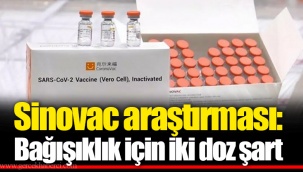 Sinovac araştırması: Bağışıklık için iki doz şart