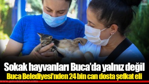Sokak hayvanları Buca’da yalnız değil