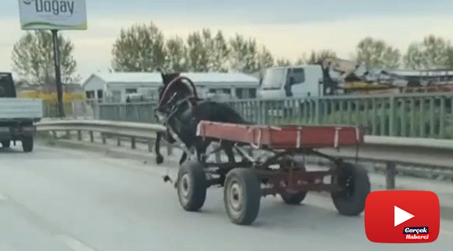 Sürücüsüz at arabası trafiği bir birine kattı