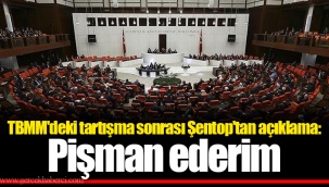 TBMM'deki tartışma sonrası Şentop'tan açıklama: Pişman ederim