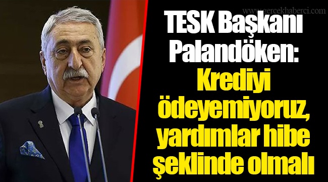 TESK Başkanı Palandöken: Krediyi ödeyemiyoruz, yardımlar hibe şeklinde olmalı