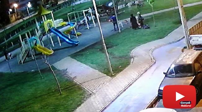 Üzerinde çocukların bulunduğu kamelyanın çökme anı kamerada