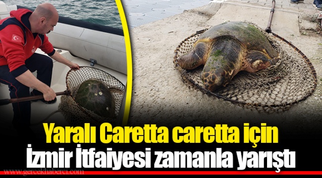 Yaralı Caretta caretta için İzmir İtfaiyesi zamanla yarıştı