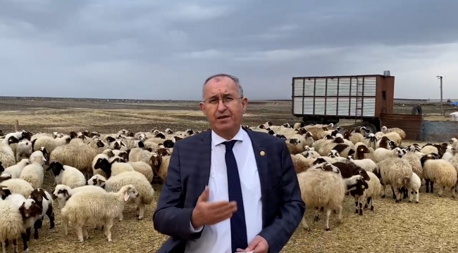Ziraat Bankası hayvancılıkla ilgili proje başlattı Kars’ı dahil etmedi