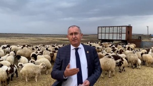 Ziraat Bankası hayvancılıkla ilgili proje başlattı Kars’ı dahil etmedi