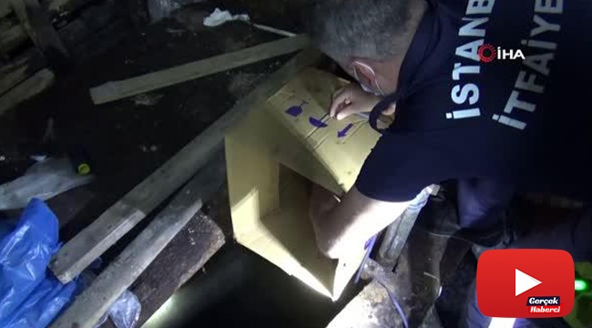 15 metrelik kuyuya düşen 2 yavru kedi koli yardımıyla kurtarıldı