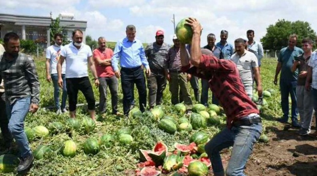AK Partili çiftçi, Cumhurbaşkanı Erdoğan ve Bakan Pakdemirli'ye isyan etti: Yaktınız bizi, mahvettiniz!