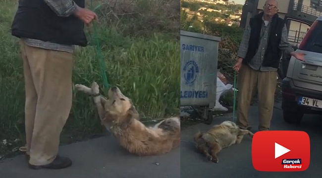 Bağladığı köpeği sürükleyerek çöpe atan şahıs yakalandı