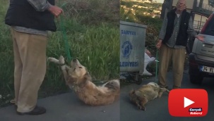 Bağladığı köpeği sürükleyerek çöpe atan şahıs yakalandı