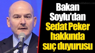 Bakan Soylu'dan Sedat Peker hakkında suç duyurusu