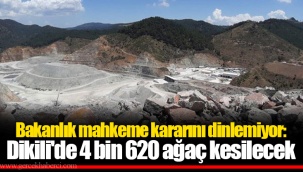 Bakanlık mahkeme kararını dinlemiyor: Dikili'de 4 bin 620 ağaç kesilecek