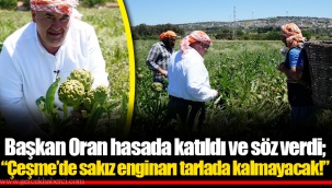 Başkan Oran hasada katıldı ve söz verdi; “Çeşme’de sakız enginarı tarlada kalmayacak!”
