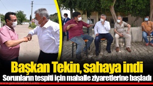 Başkan Tekin, sahaya indi