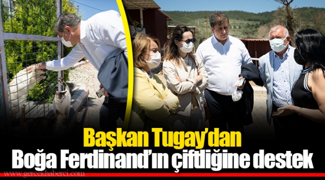 Başkan Tugay’dan Boğa Ferdinand’ın çiftliğine destek 