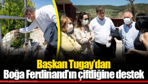Başkan Tugay’dan Boğa Ferdinand’ın çiftliğine destek