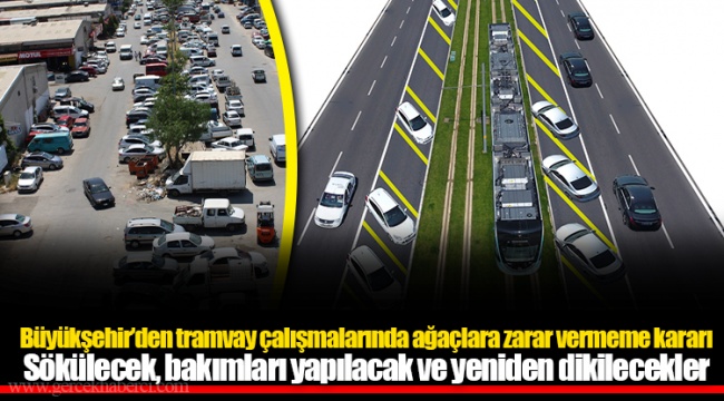 Büyükşehir’den tramvay çalışmalarında ağaçlara zarar vermeme kararı