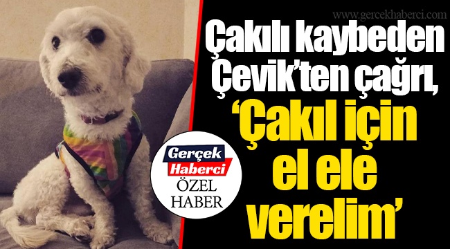 Çakılı kaybeden Çevik’ten çağrı, “Çakıl için el ele verelim”