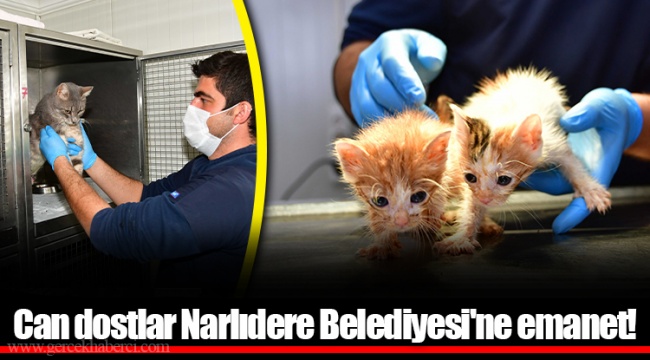 Can dostlar Narlıdere Belediyesi'ne emanet!