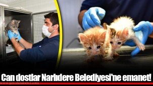 Can dostlar Narlıdere Belediyesi'ne emanet!
