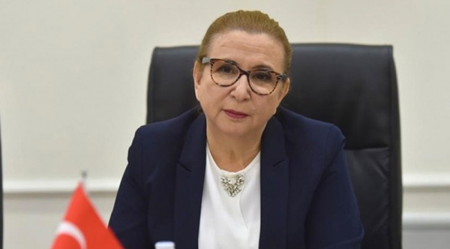 CHP, eski bakan Ruhsar Pekcan hakkında Meclis soruşturma önergesi hazırladı