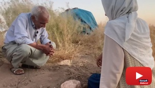 Çocuğu olmayan yaşlı çift ölen köpekleri için gözyaşı döktü