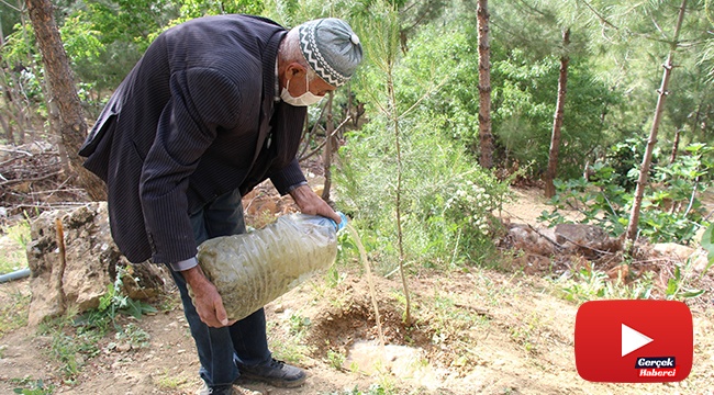 Çöplüğü ormana çevirdi, diktiği ağaçlara gözü gibi bakıyor