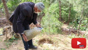 Çöplüğü ormana çevirdi, diktiği ağaçlara gözü gibi bakıyor