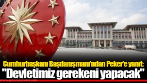 Cumhurbaşkanı Başdanışmanı'ndan Peker'e yanıt: