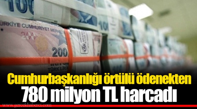 Cumhurbaşkanlığı örtülü ödenekten 780 milyon TL harcadı
