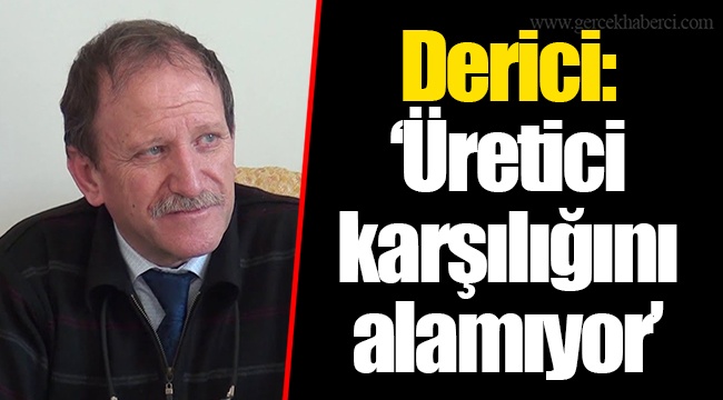 Derici: “Üretici karşılığını alamıyor”