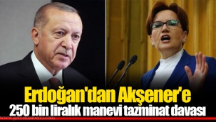 Erdoğan'dan Akşener'e 250 bin liralık manevi tazminat davası