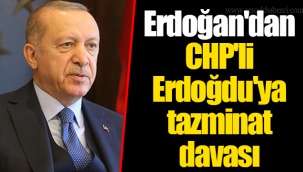 Erdoğan'dan CHP'li Erdoğdu'ya tazminat davası
