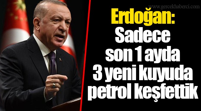 Erdoğan: Sadece son 1 ayda 3 yeni kuyuda petrol keşfettik