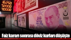 Faiz kararı sonrası döviz kurları düşüşte