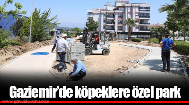 Gaziemir’de köpeklere özel park