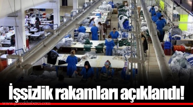 İşsizlik rakamları açıklandı!
