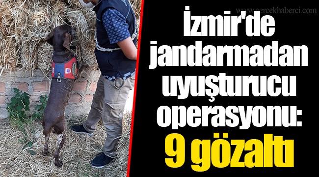 İzmir'de jandarmadan uyuşturucu operasyonu: 9 gözaltı