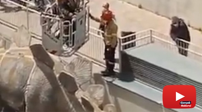 Kayıp adamın cesedi dinozor heykelinin içinden çıktı