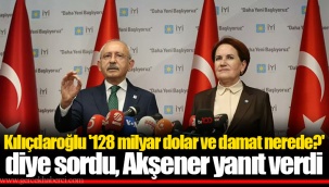 Kılıçdaroğlu '128 milyar dolar ve damat nerede?' diye sordu, Akşener yanıt verdi