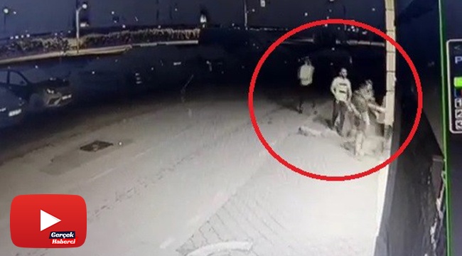Kısıtlamayı ihlal eden gençler polisi görünce böyle kaçtı