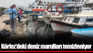 Körfez'deki deniz marulları temizleniyor