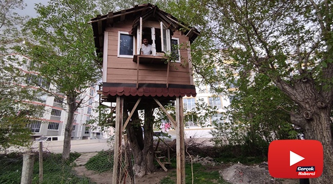 Korona virüsten korunmak için ‘ağaç kondu’ yaptılar