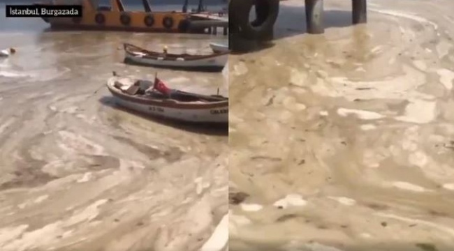 Marmara Denizi Alarm Veriyor! Videoyu Görenler Dehşete Düştü