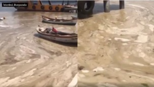 Marmara Denizi Alarm Veriyor! Videoyu Görenler Dehşete Düştü